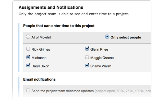 Assigning team members to specific projects